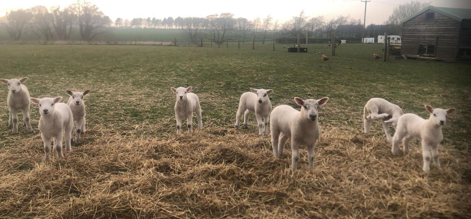 The Farm Burscough Βίλα Εξωτερικό φωτογραφία